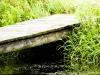 Pond Bridge