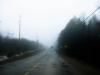 Foggy Road and Brake Lights