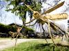Giant Wooden Fly