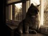 Thor in the Bay Window